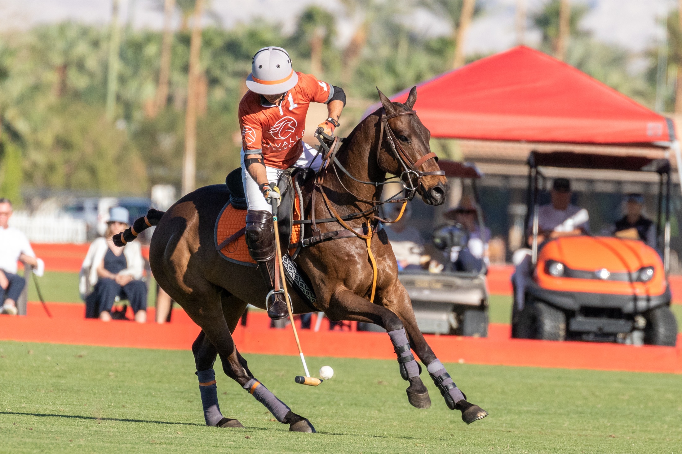 Polo field at Cavallo Ranch